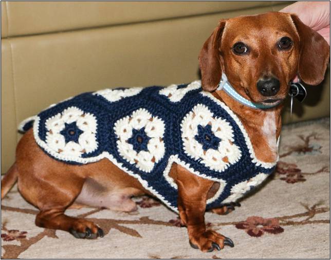 Tunisian Crochet Dog Sweater Pattern